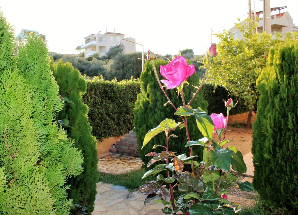 Helen'S Sounio Apartments Sounion Bagian luar foto