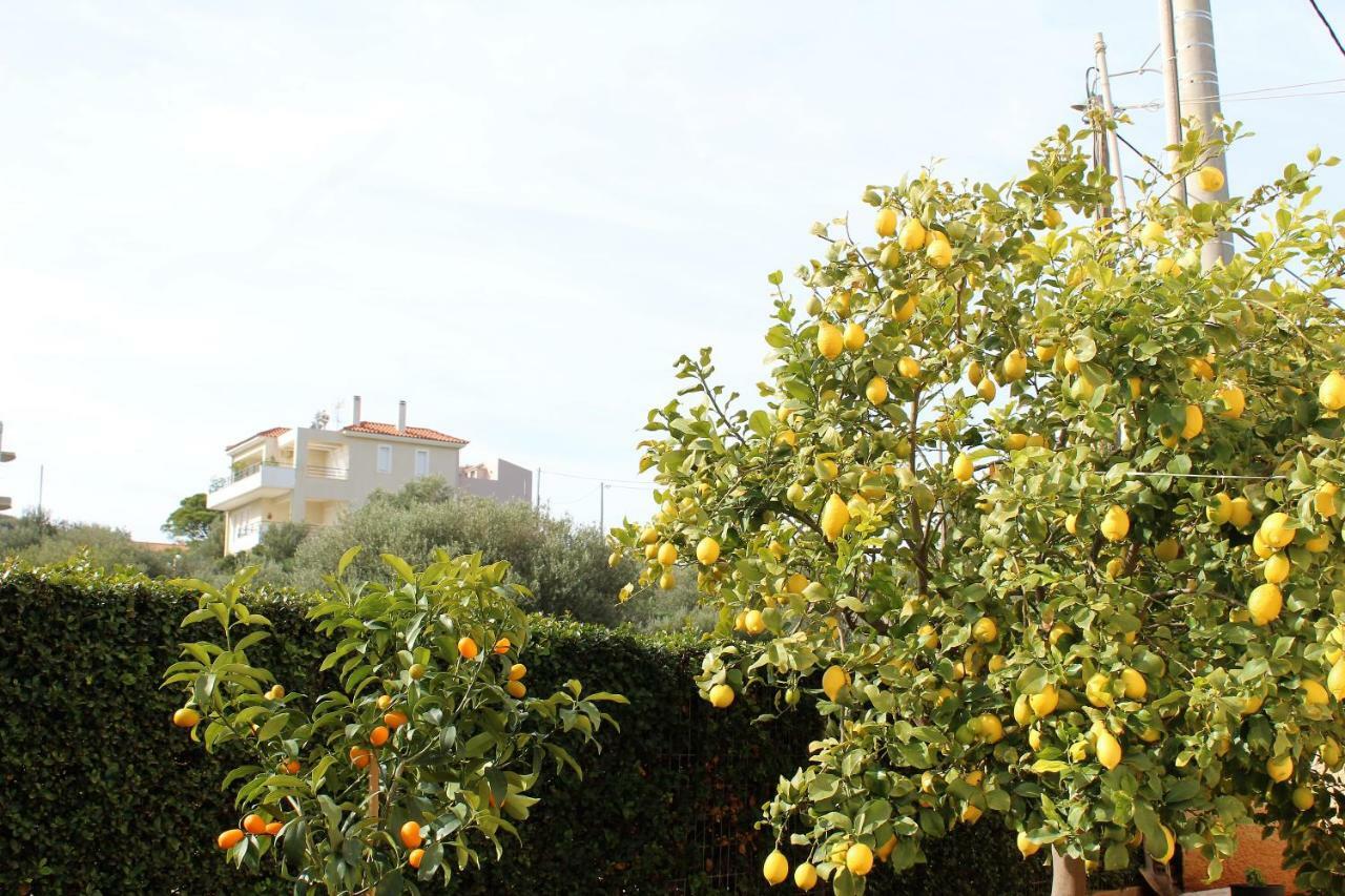 Helen'S Sounio Apartments Sounion Bagian luar foto